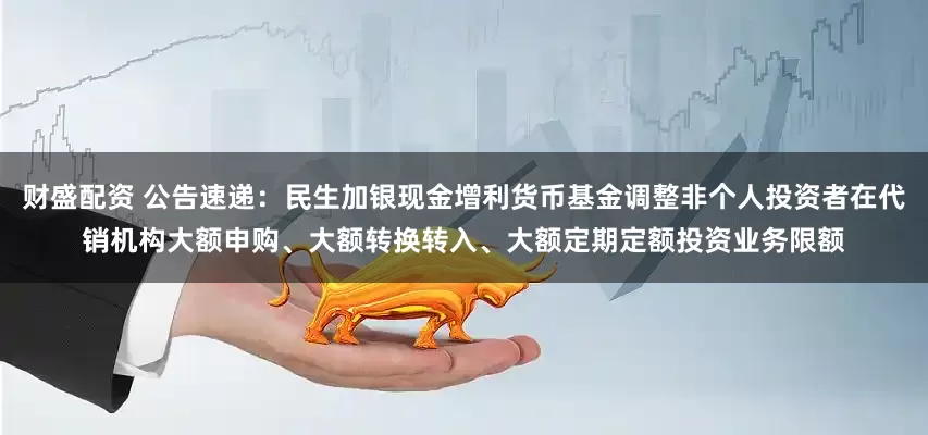 财盛配资 公告速递：民生加银现金增利货币基金调整非个人投资者在代销机构大额申购、大额转换转入、大额定期定额投资业务限额